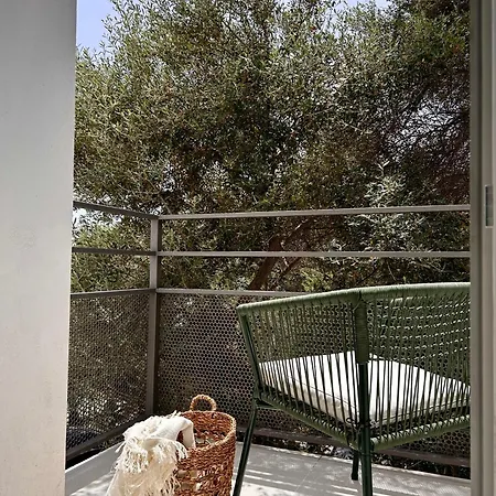 Vireo Πανσιόν