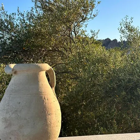 Casa de hóspedes Vireo