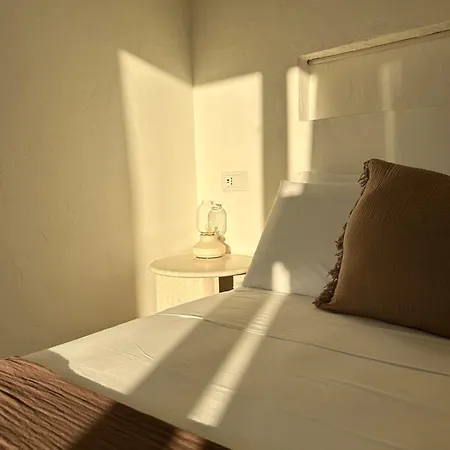 Vireo 圣玛丽亚纳瓦雷