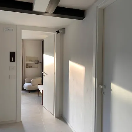 Vireo 圣玛丽亚纳瓦雷