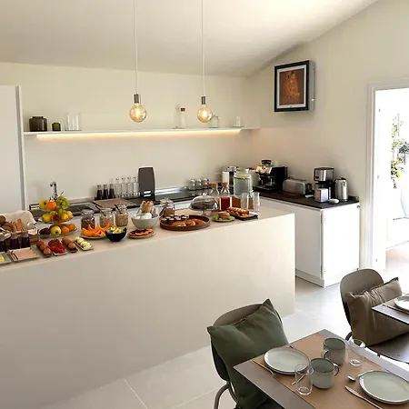 Vireo 圣玛丽亚纳瓦雷