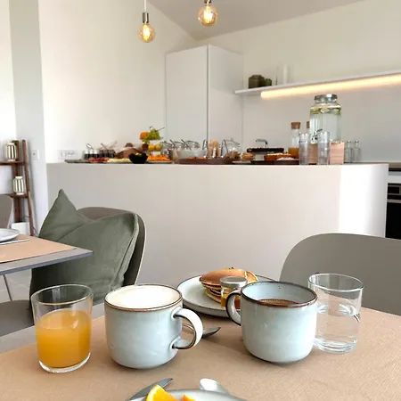 Vireo 圣玛丽亚纳瓦雷