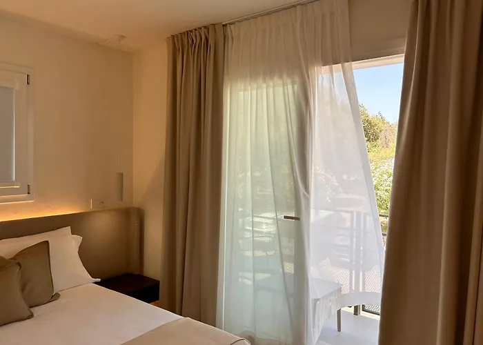 Vireo 산타마리아나바레제