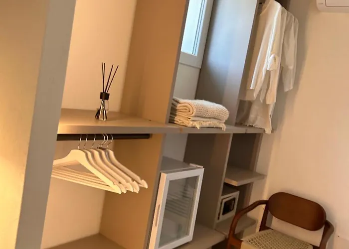 Vireo 산타마리아나바레제