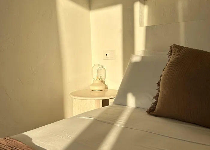 Vireo 산타마리아나바레제