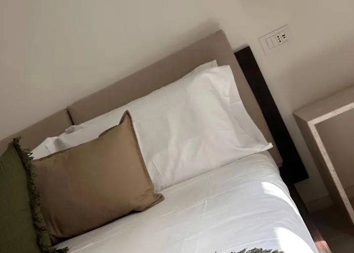 Vireo 산타마리아나바레제