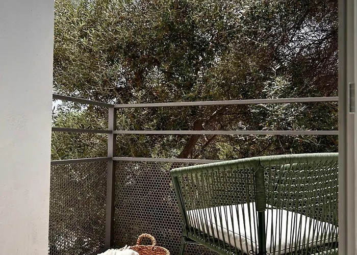 Vireo 게스트하우스