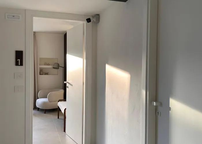 Vireo 산타마리아나바레제