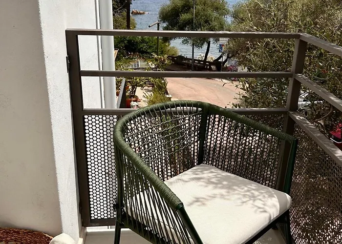 게스트하우스 Vireo 산타마리아나바레제