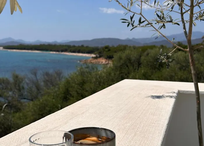 Vireo 게스트하우스