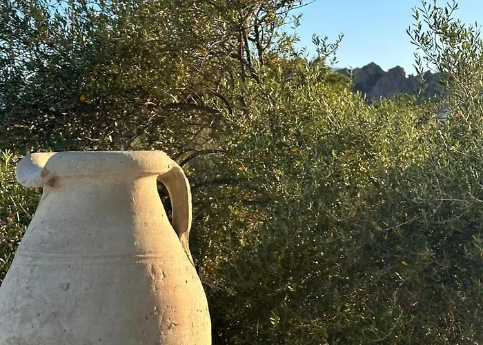 게스트하우스 Vireo