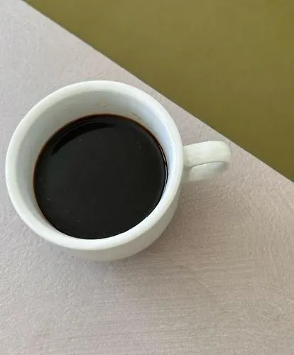 게스트하우스 Vireo 4*